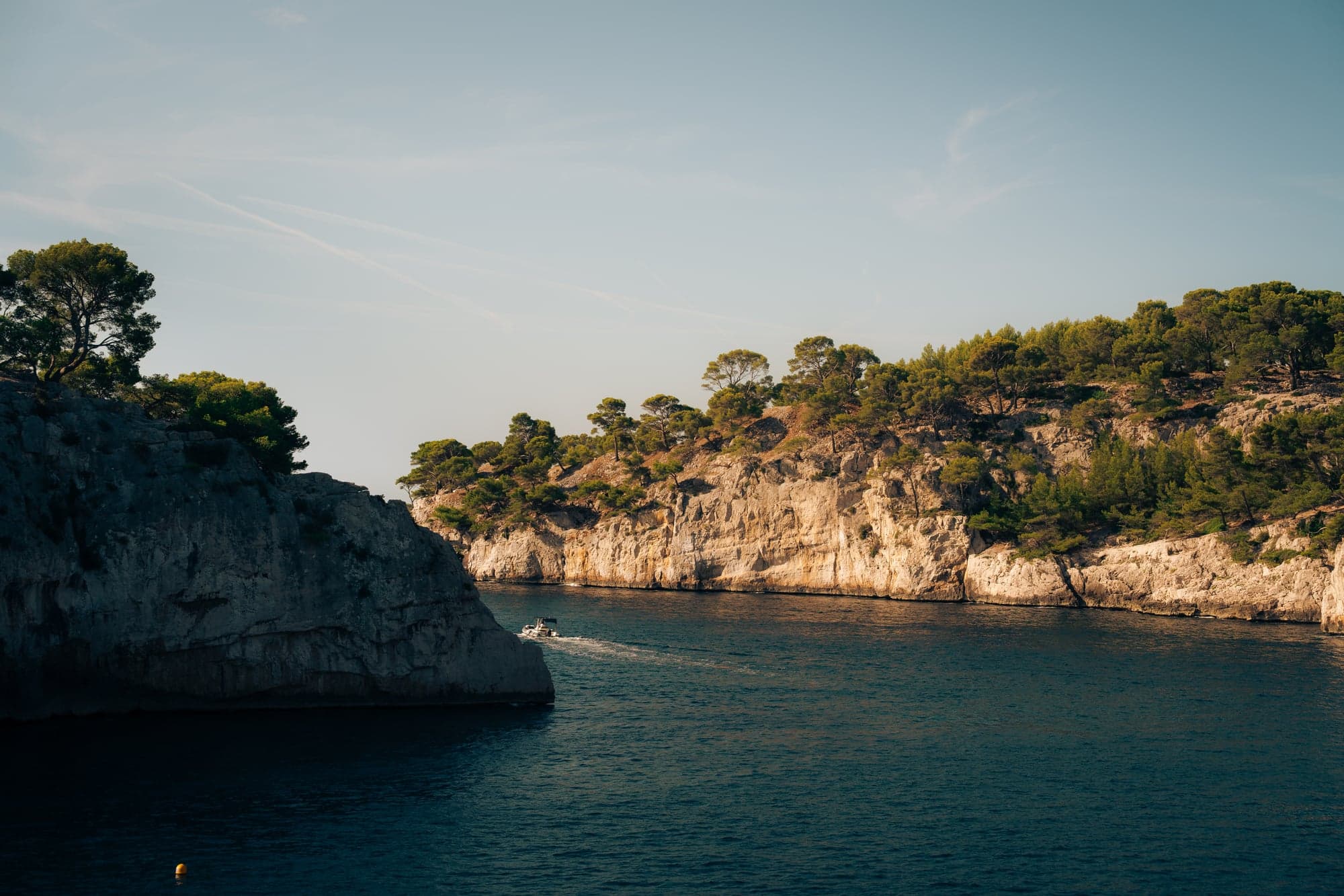 A rocky cove and pine forest at day's end