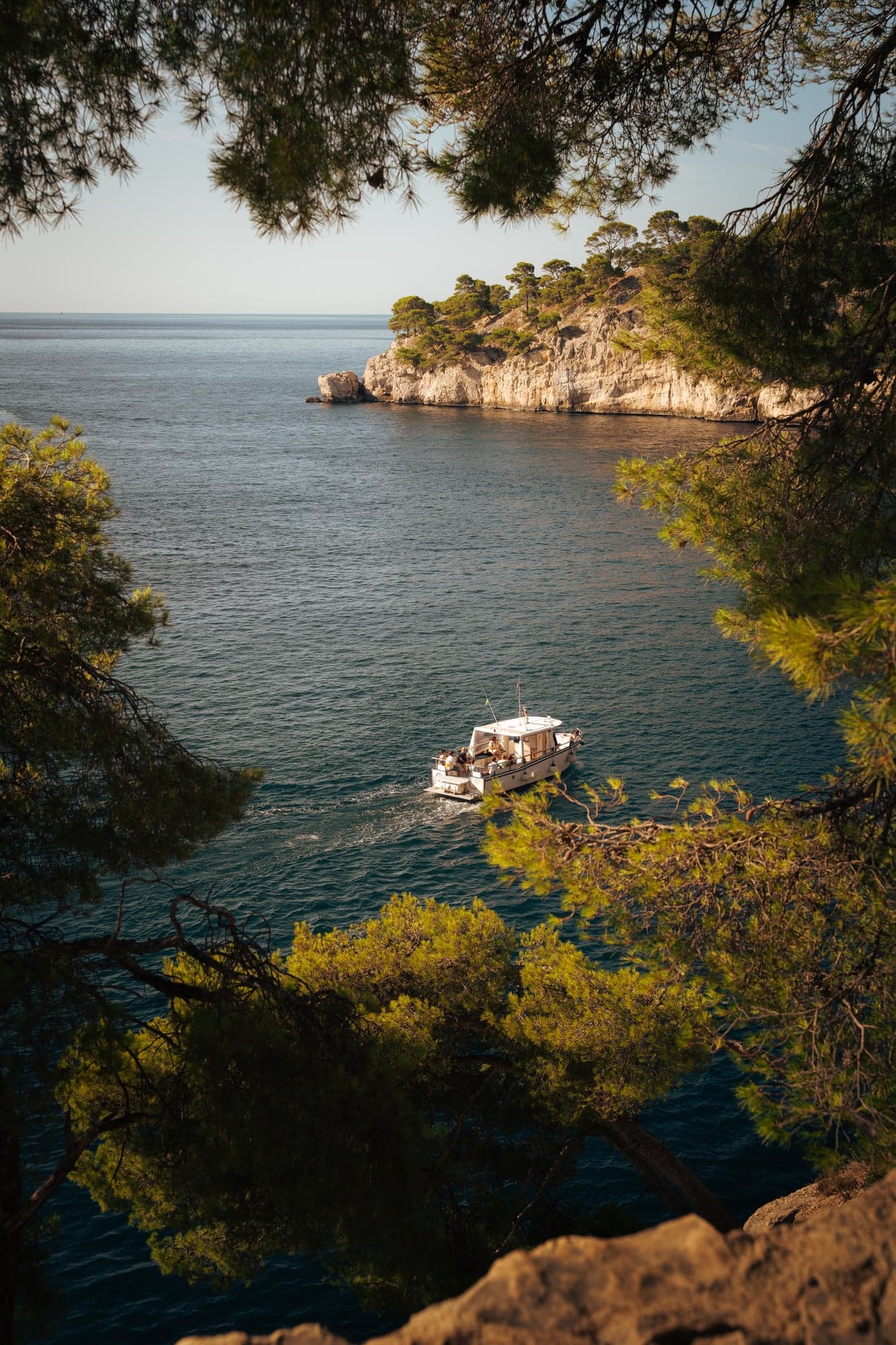 A boat in a cove framed by pine trees
